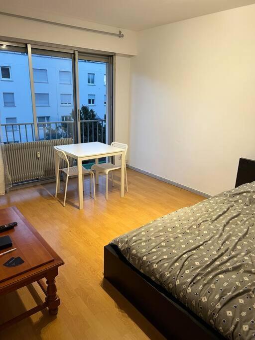 Studio A 2 Minutes De La Gare Apartment Mulhouse Luaran gambar